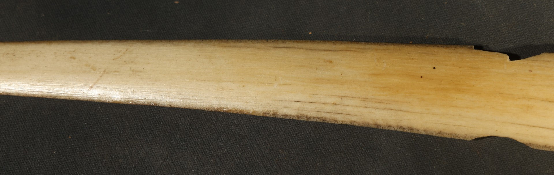 Antique Folk Art Decorated Swordfish Rostrum with Painted Swordfish, note poor condition