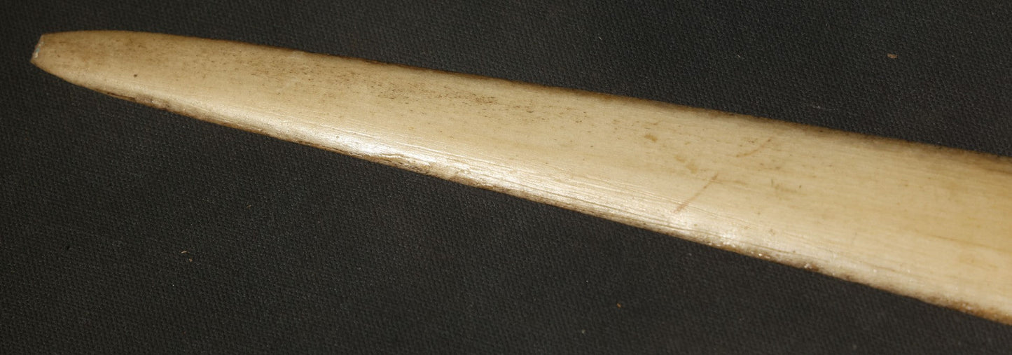 Antique Folk Art Decorated Swordfish Rostrum with Painted Swordfish, note poor condition