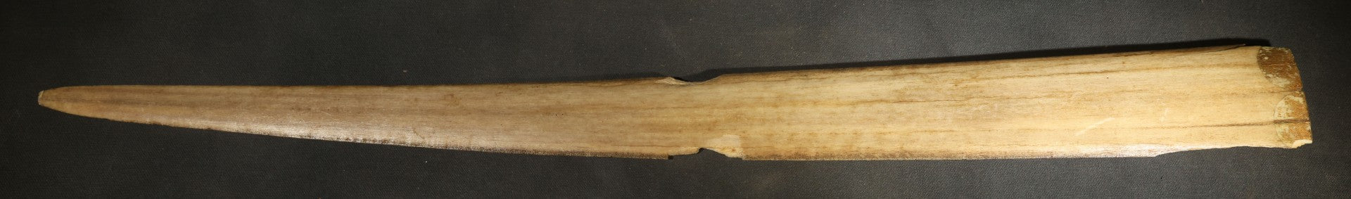 Antique Folk Art Decorated Swordfish Rostrum with Painted Swordfish, note poor condition