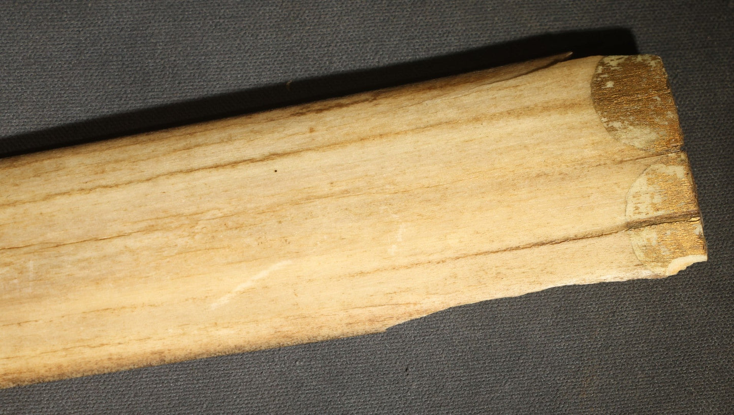 Antique Folk Art Decorated Swordfish Rostrum with Painted Swordfish, note poor condition