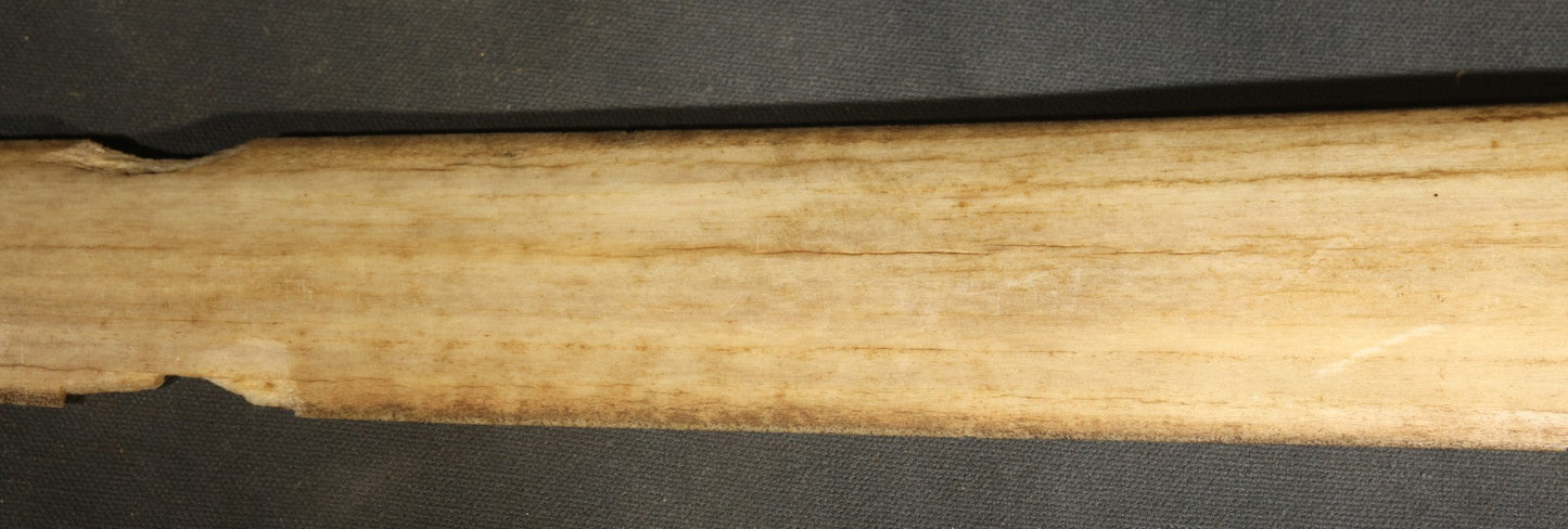Antique Folk Art Decorated Swordfish Rostrum with Painted Swordfish, note poor condition