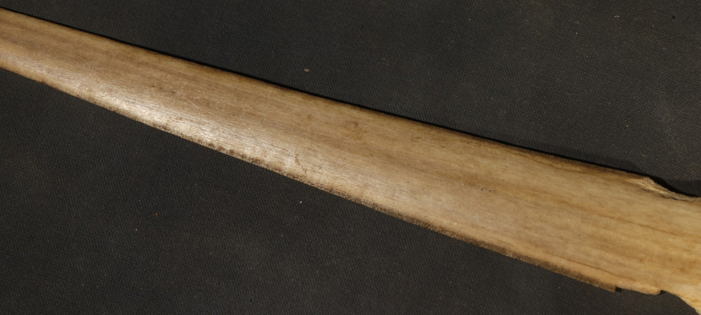 Antique Folk Art Decorated Swordfish Rostrum with Painted Swordfish, note poor condition