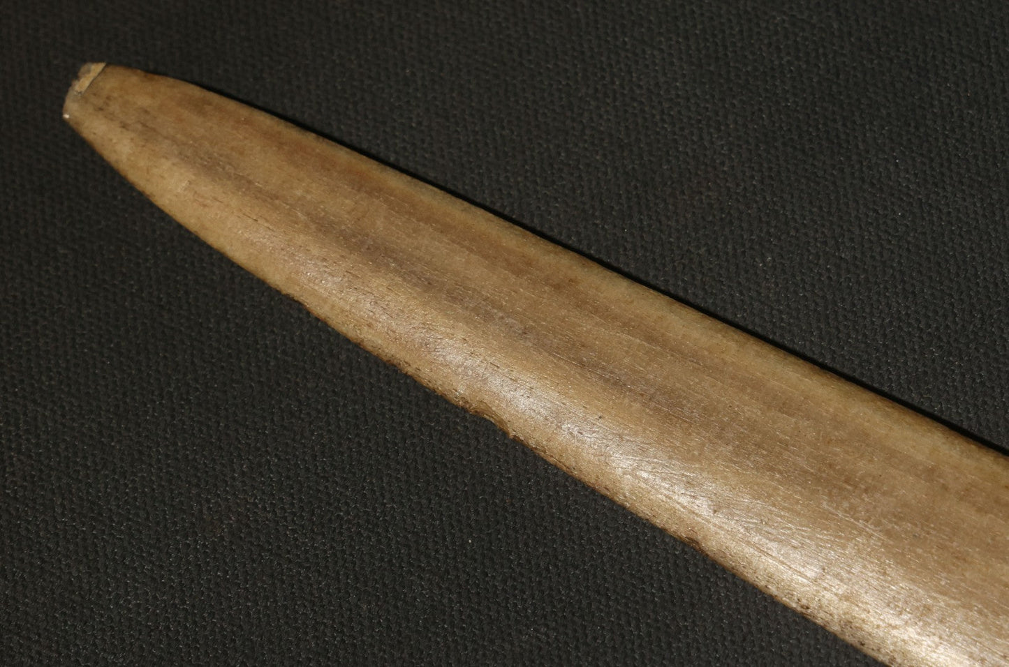 Antique Folk Art Decorated Swordfish Rostrum with Painted Swordfish, note poor condition