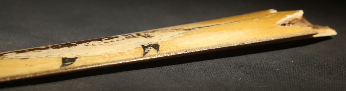 Antique Folk Art Decorated Swordfish Rostrum with Painted Swordfish, note poor condition