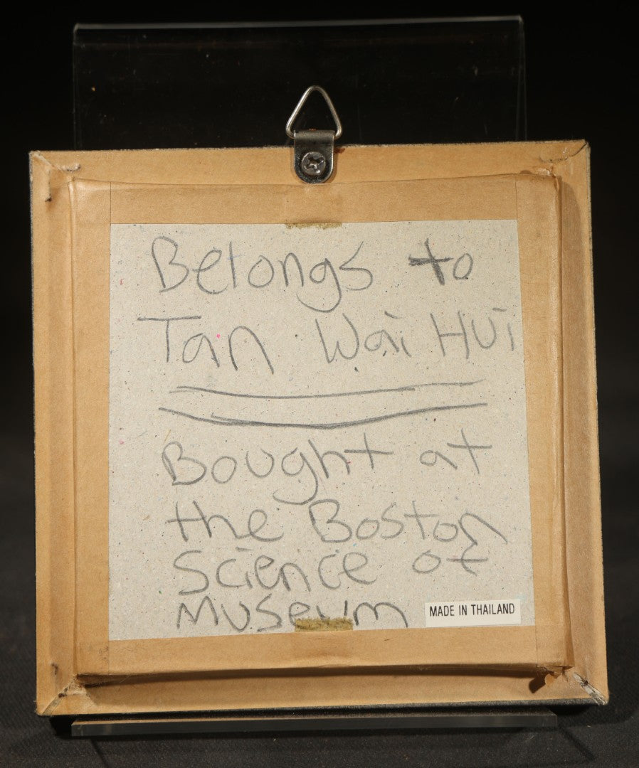 Modern Framed Butterfly Specimen Labeled "The Archduke" Acquired from Boston Science Museum, Made in Thailand