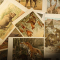 Lot 076 - Grouping of 22 Antique Chromolithograph Book Plate Prints of Mammals Including Bats, Elephant, Rhinoceros, Tiger, and Giraffes