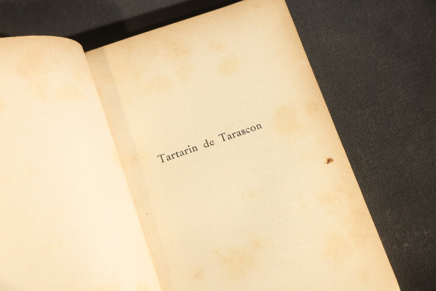 "Tartarin de Tarascon" Antique French Literature Book by Alphonse Daudet, Collection Guillaume, Published by Ernest Flammarion, Paris