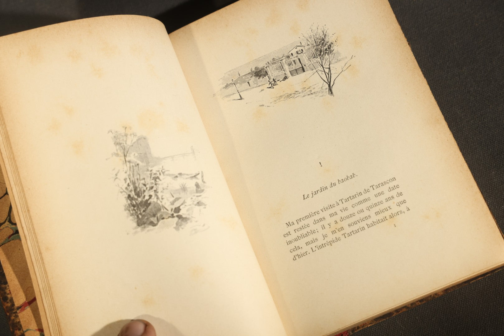 "Tartarin de Tarascon" Antique French Literature Book by Alphonse Daudet, Collection Guillaume, Published by Ernest Flammarion, Paris