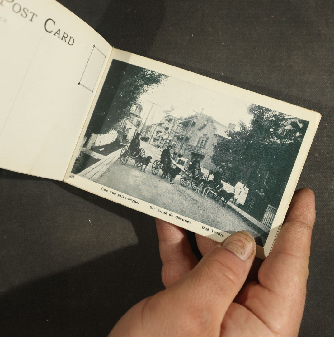 Vintage Postcard Grouping - Basilica Booklet