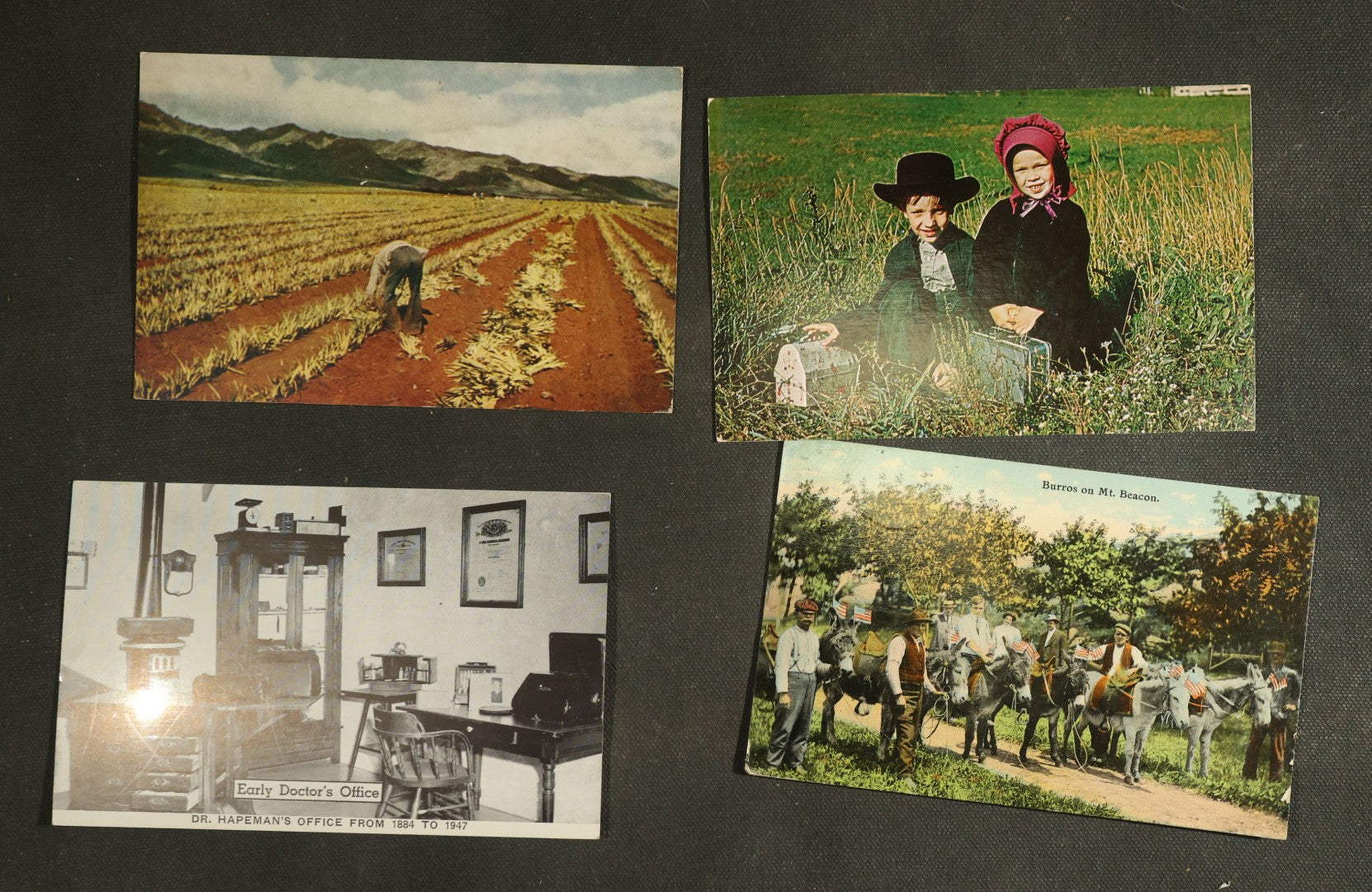 vintage postcard grouping - Liza's Picks