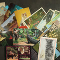Lot 120 - Vintage Postcard Grouping - Animals