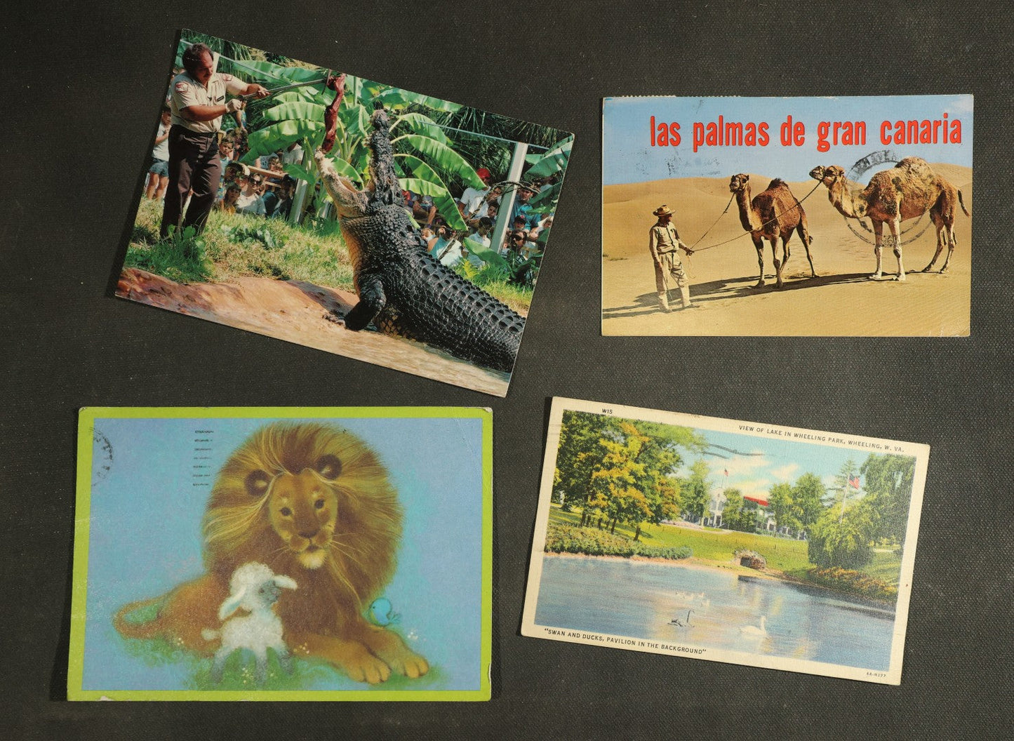 vintage postcard grouping - Animals