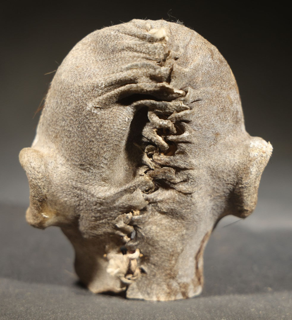 Vintage Shrunken Head Gaff Tourist Souvenir, Sculpted from Animal Hide