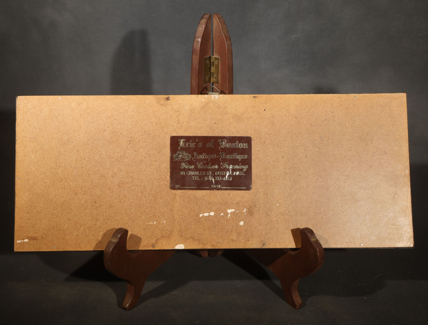 Vintage Entomological Framed Butterfly Specimen Display with Five Mounted Butterflies, Eric's of Boston, Massachusetts