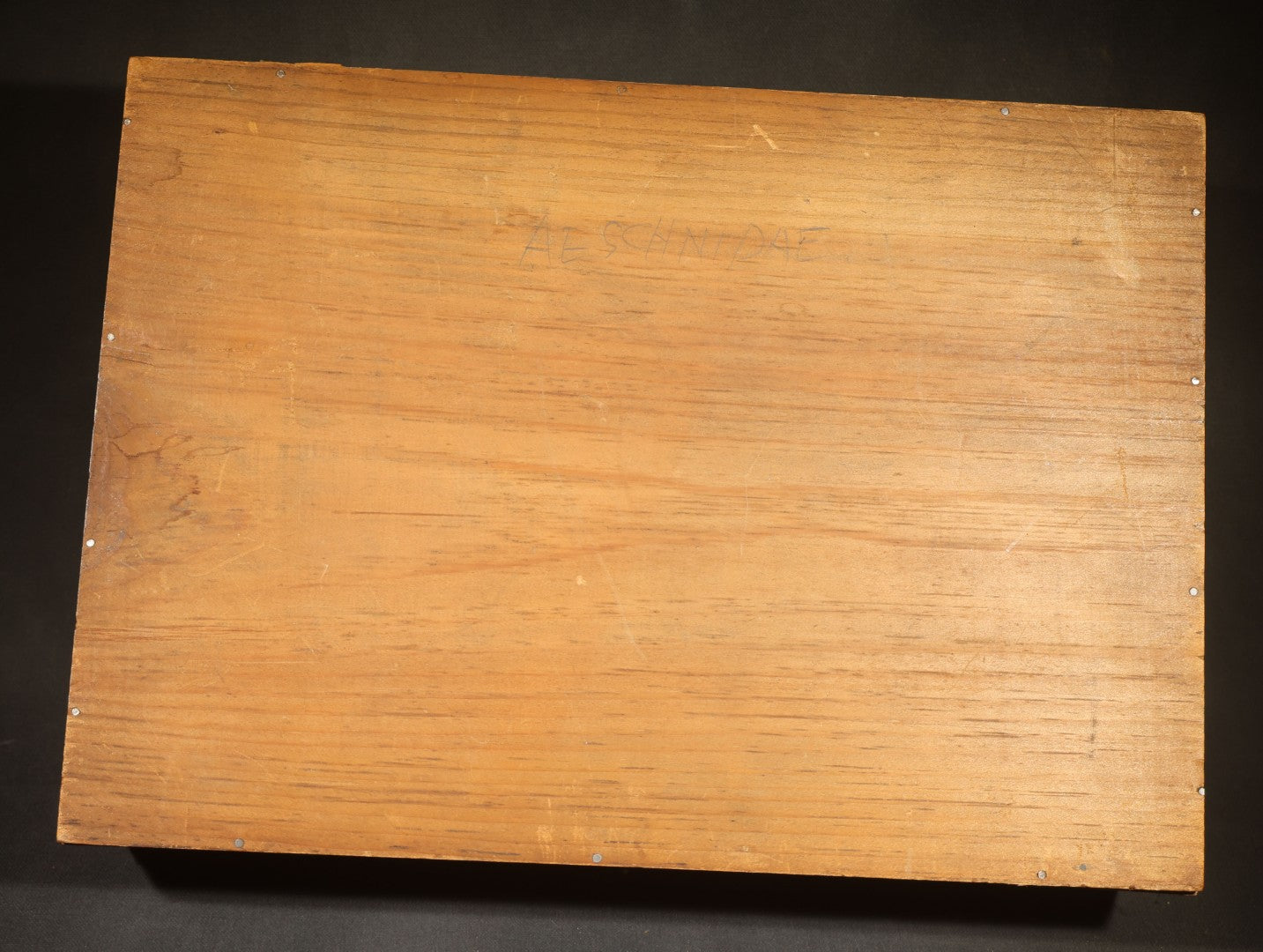 Vintage Entomological Moth Specimen Collection in Hinged Wooden Display Box