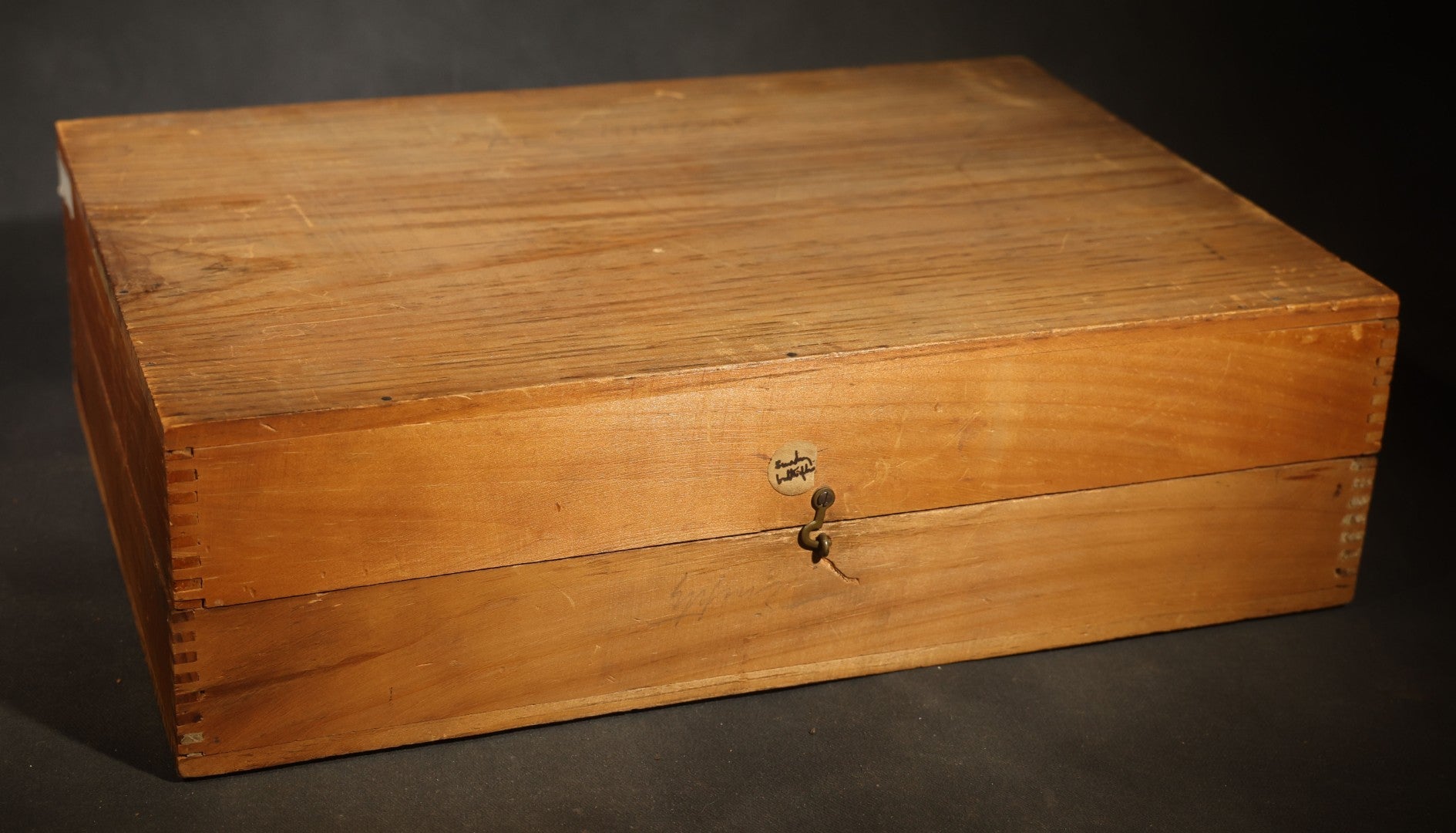 Vintage Entomological Moth Specimen Collection in Hinged Wooden Display Box