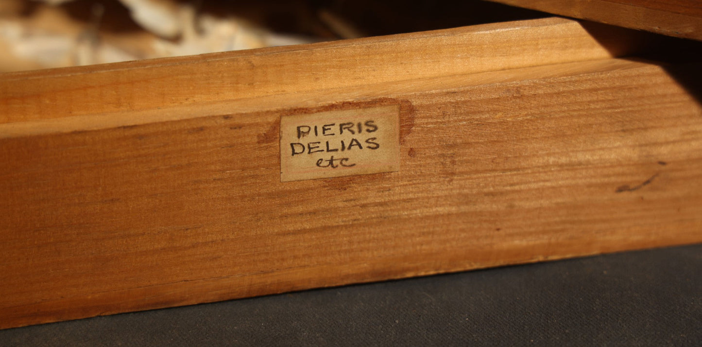 Vintage Entomological Specimen Box with Pinned Moth Collection in Two Trays