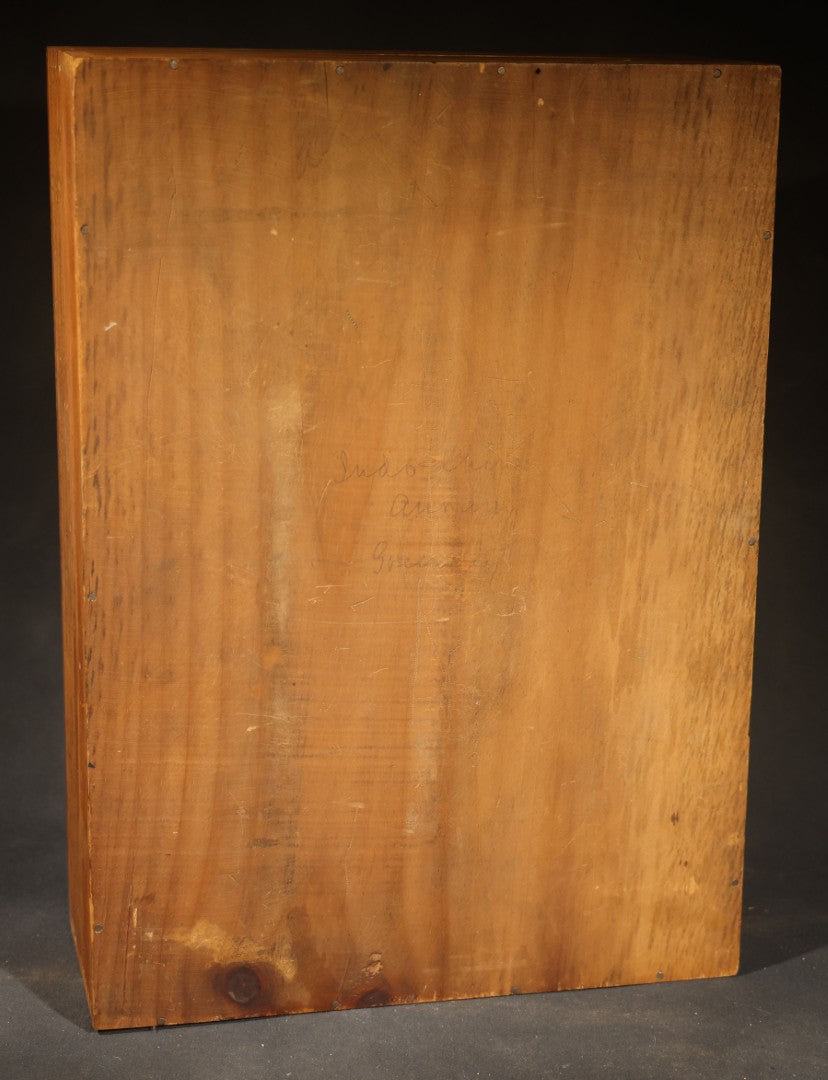 Vintage Entomological Specimen Box with Pinned Moth Collection in Two Trays