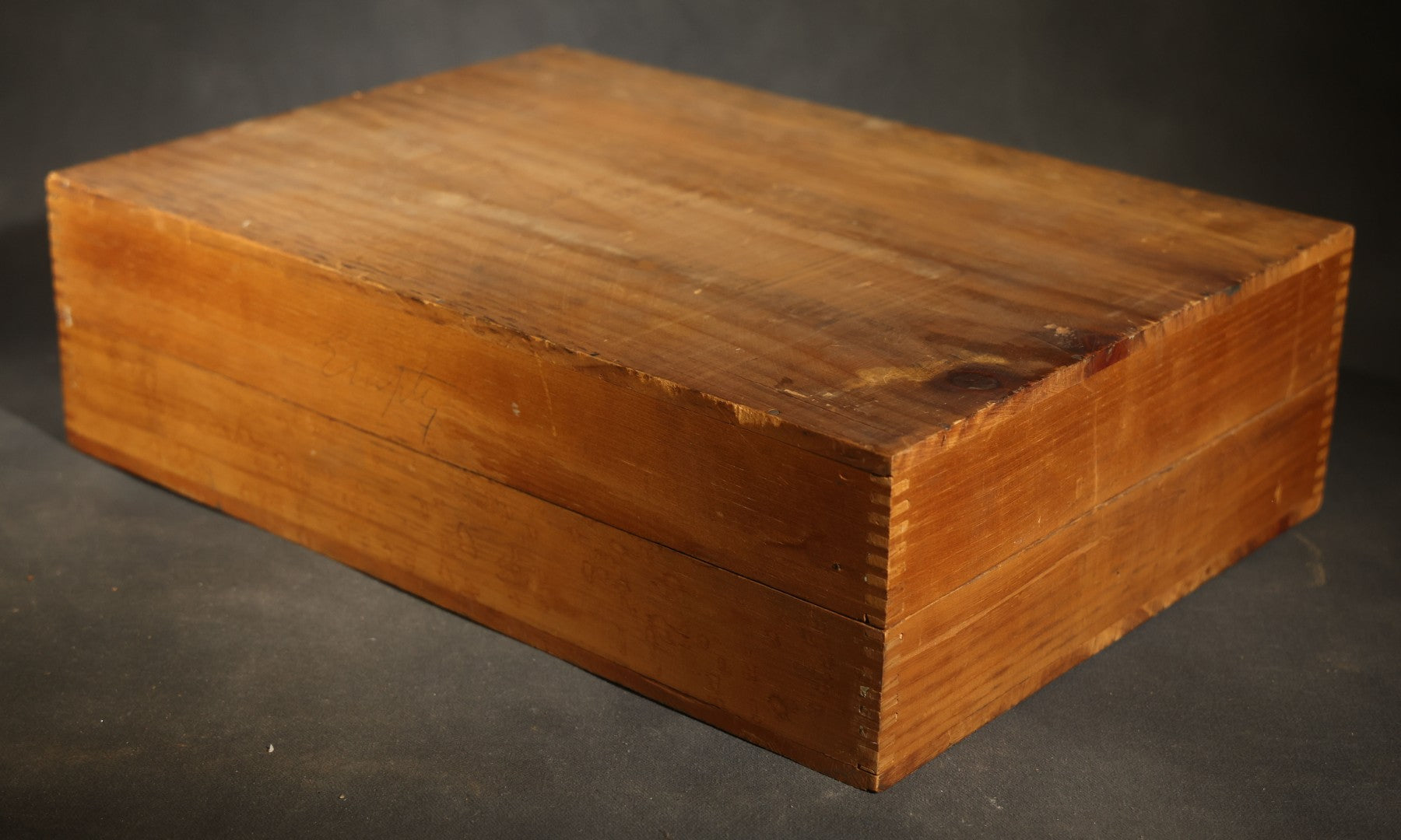Vintage Entomological Specimen Box with Pinned Moth Collection in Two Trays