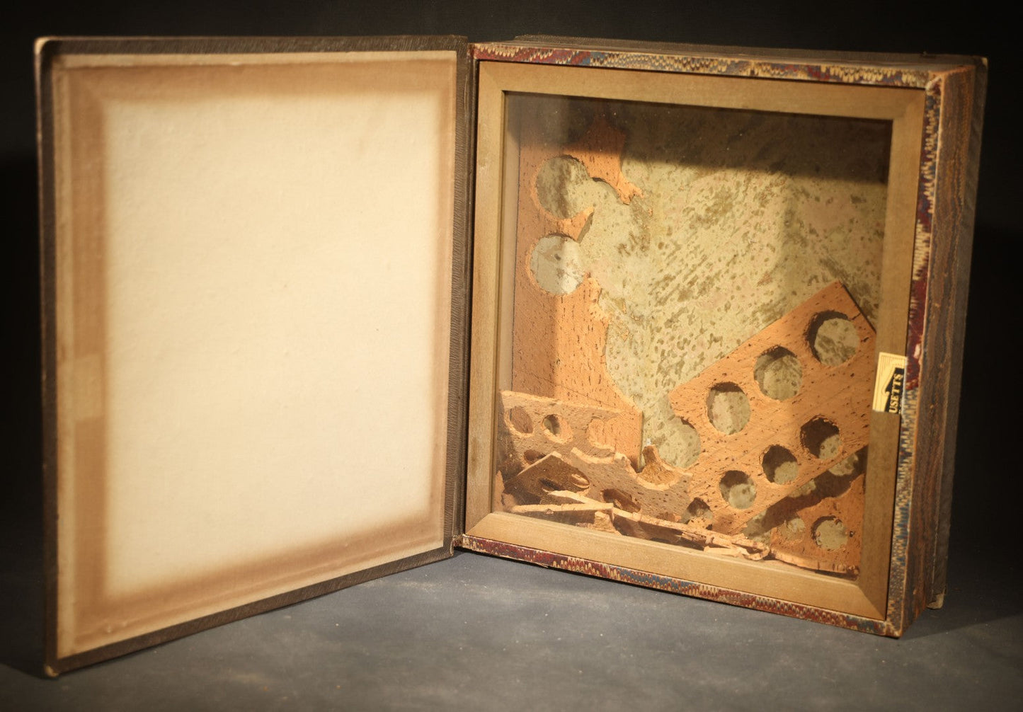 Antique Entomology Book-Form Specimen Display Case with Glass-Fronted Interior and Cork-Lined Compartment, Gold-Stamped Spine
