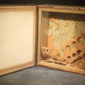 Lot 030 - Antique Entomology Book-Form Specimen Display Case with Glass-Fronted Interior and Cork-Lined Compartment, Gold-Stamped Spine, 11" L x 12" H