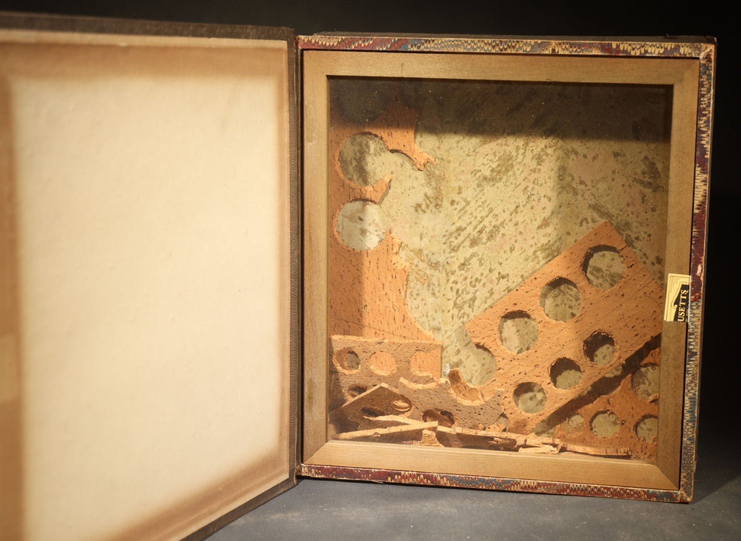 Antique Entomology Book-Form Specimen Display Case with Glass-Fronted Interior and Cork-Lined Compartment, Gold-Stamped Spine