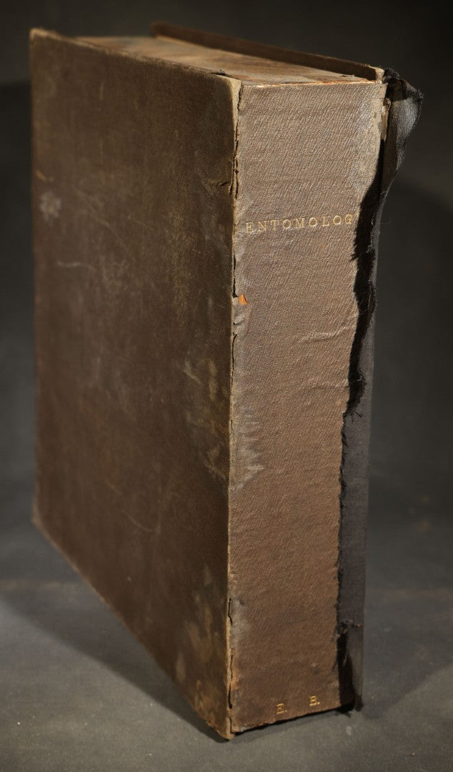 Antique Entomology Book-Form Specimen Display Case with Glass-Fronted Interior and Cork-Lined Compartment, Gold-Stamped Spine