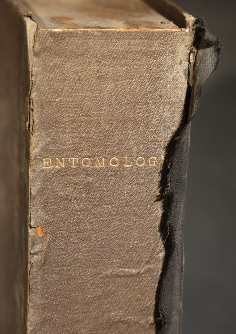 Antique Entomology Book-Form Specimen Display Case with Glass-Fronted Interior and Cork-Lined Compartment, Gold-Stamped Spine