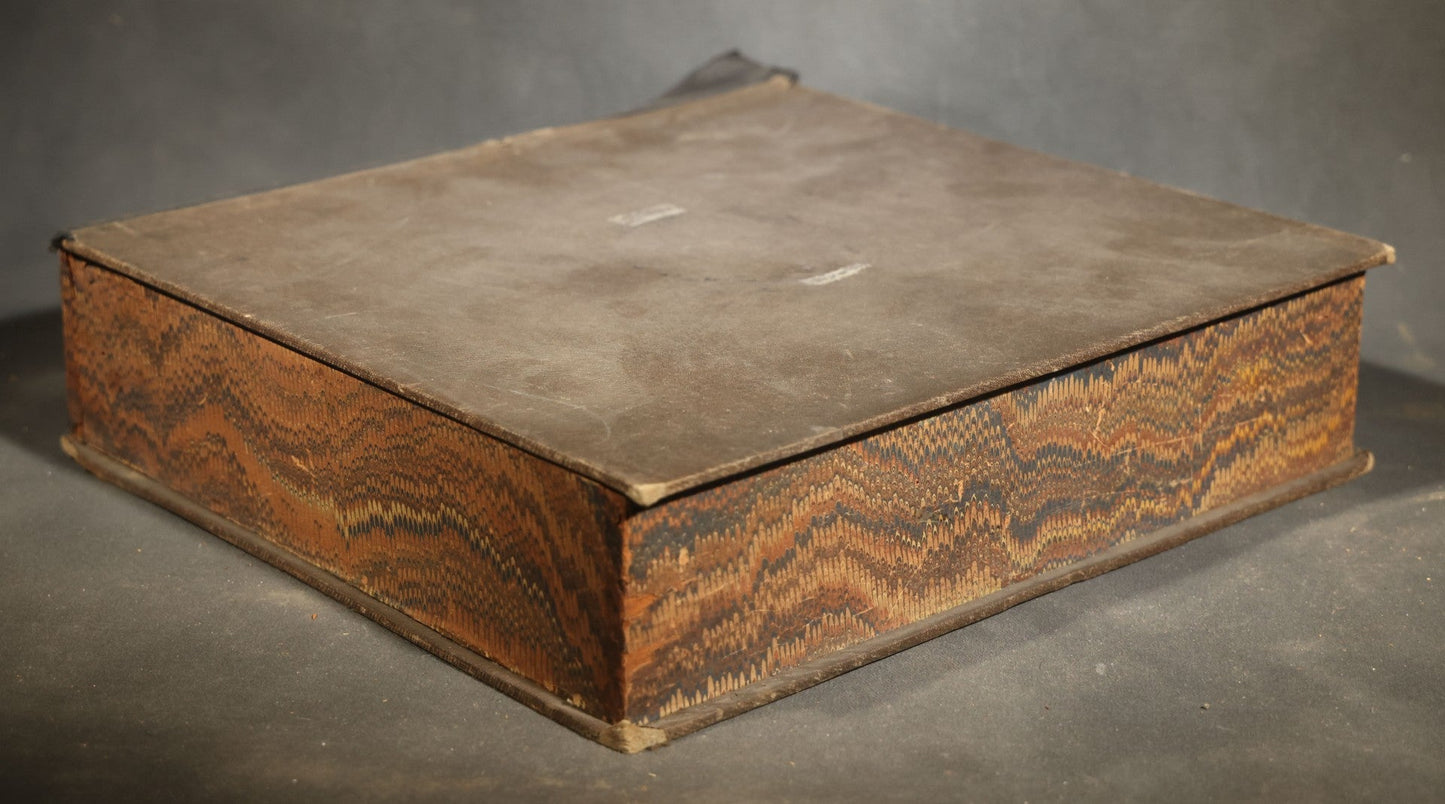Antique Entomology Book-Form Specimen Display Case with Glass-Fronted Interior and Cork-Lined Compartment, Gold-Stamped Spine