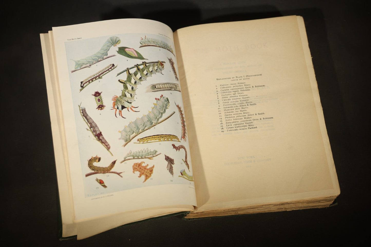 "The Moth Book: A Popular Guide to a Knowledge of the Moths of North America" Antique Entomology Book with 48 Color Plates by W. J. Holland, Published by Doubleday, Page & Company, New York, 1903