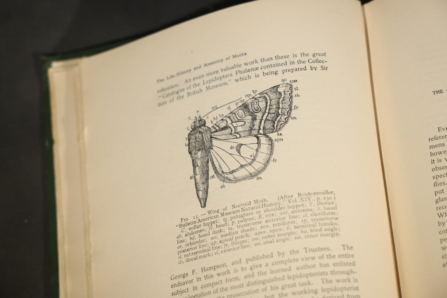 "The Moth Book: A Popular Guide to a Knowledge of the Moths of North America" Antique Entomology Book with 48 Color Plates by W. J. Holland, Published by Doubleday, Page & Company, New York, 1903