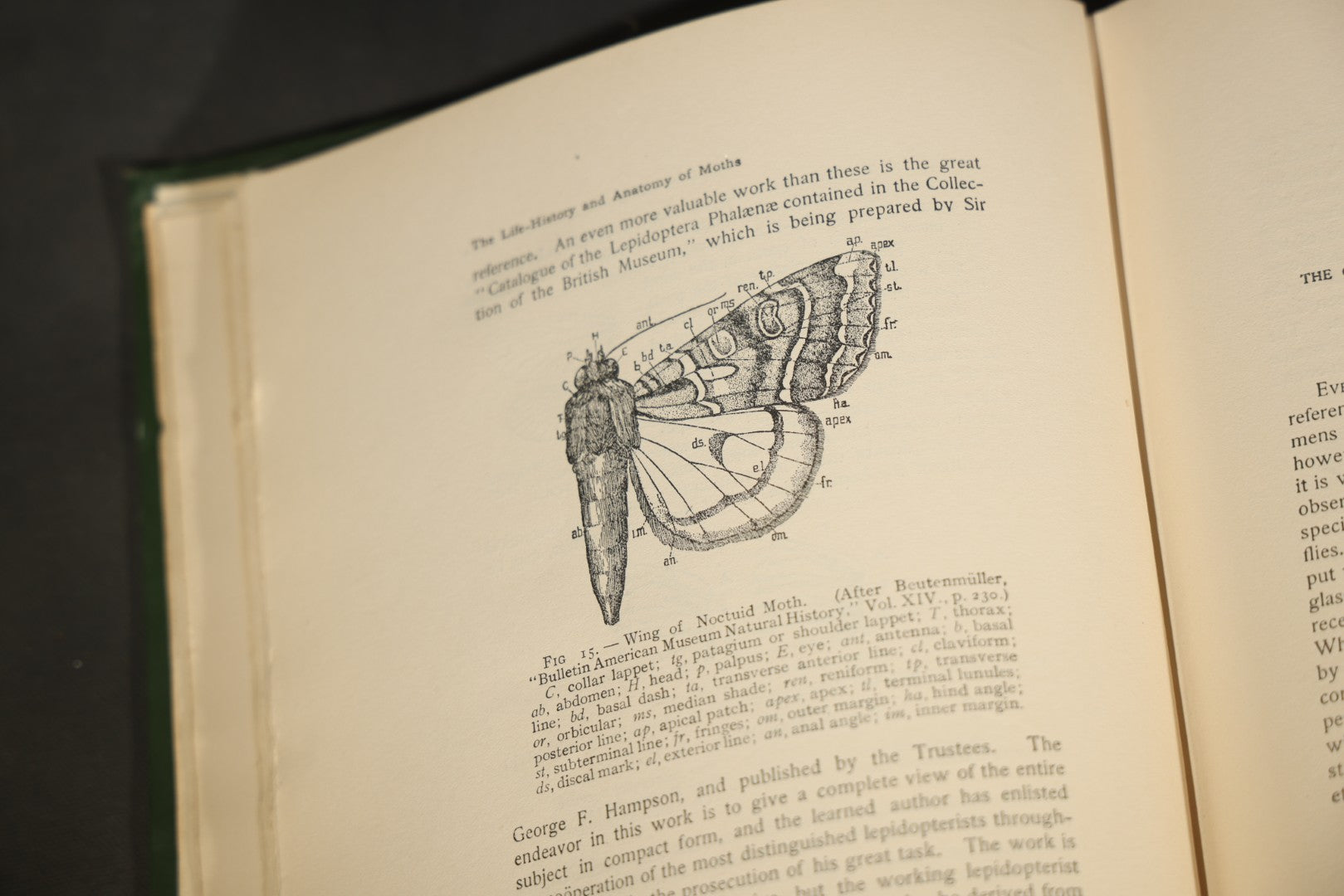 "The Moth Book: A Popular Guide to a Knowledge of the Moths of North America" Antique Entomology Book with 48 Color Plates by W. J. Holland, Published by Doubleday, Page & Company, New York, 1903