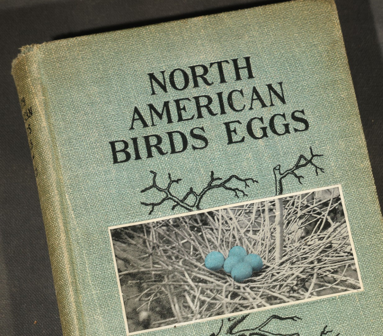 "North American Birds Eggs" Antique Ornithology Book by Chester A. Reed, Published by Doubleday, Page & Company, New York, 1904
