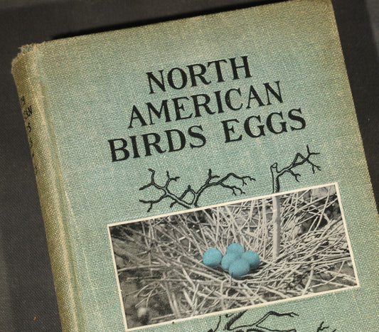 "North American Birds Eggs" Antique Ornithology Book by Chester A. Reed, Published by Doubleday, Page & Company, New York, 1904