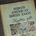 Lot 032 - "North American Birds Eggs" Antique Ornithology Book by Chester A. Reed, Published by Doubleday, Page & Company, New York, 1904