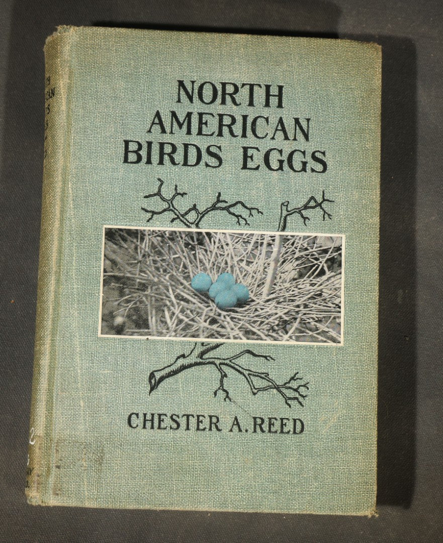 "North American Birds Eggs" Antique Ornithology Book by Chester A. Reed, Published by Doubleday, Page & Company, New York, 1904