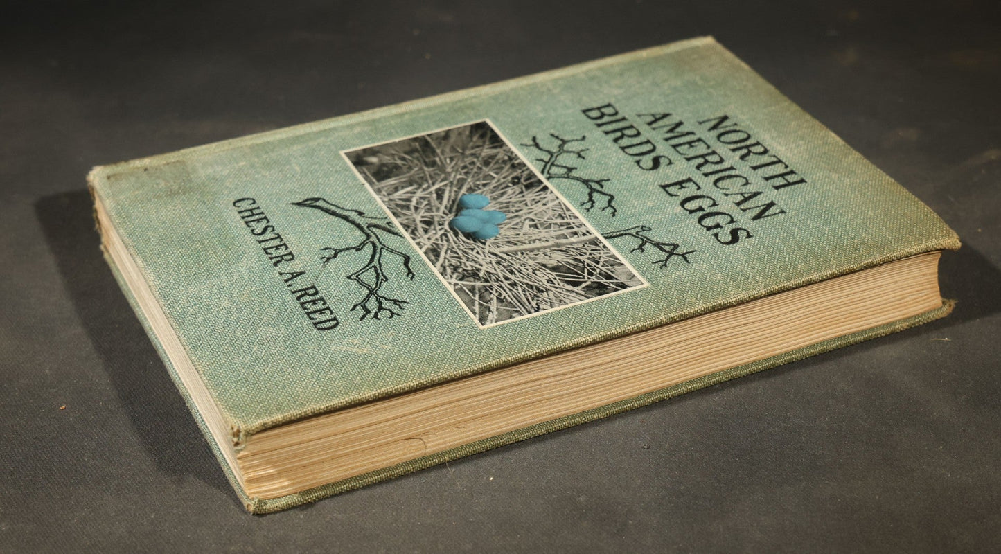 "North American Birds Eggs" Antique Ornithology Book by Chester A. Reed, Published by Doubleday, Page & Company, New York, 1904