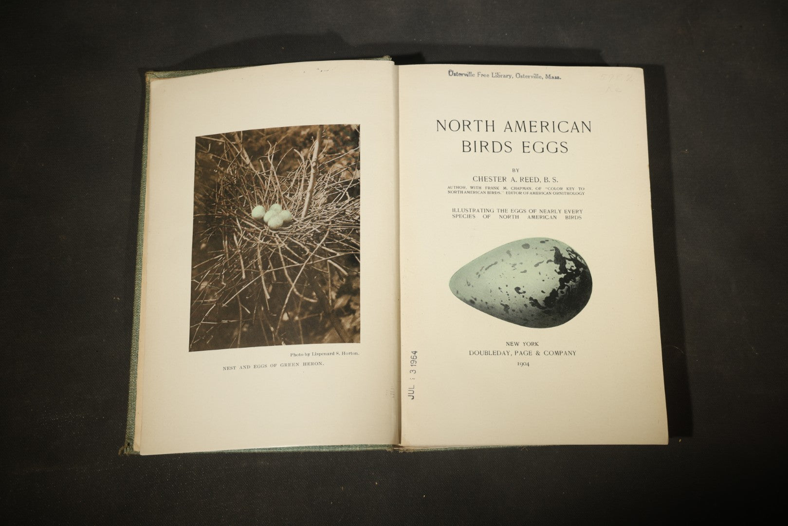 "North American Birds Eggs" Antique Ornithology Book by Chester A. Reed, Published by Doubleday, Page & Company, New York, 1904