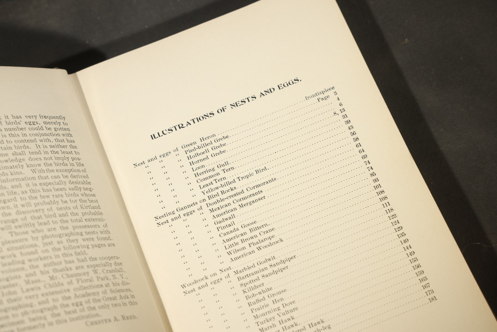 "North American Birds Eggs" Antique Ornithology Book by Chester A. Reed, Published by Doubleday, Page & Company, New York, 1904
