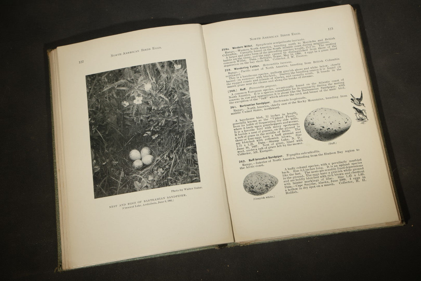"North American Birds Eggs" Antique Ornithology Book by Chester A. Reed, Published by Doubleday, Page & Company, New York, 1904