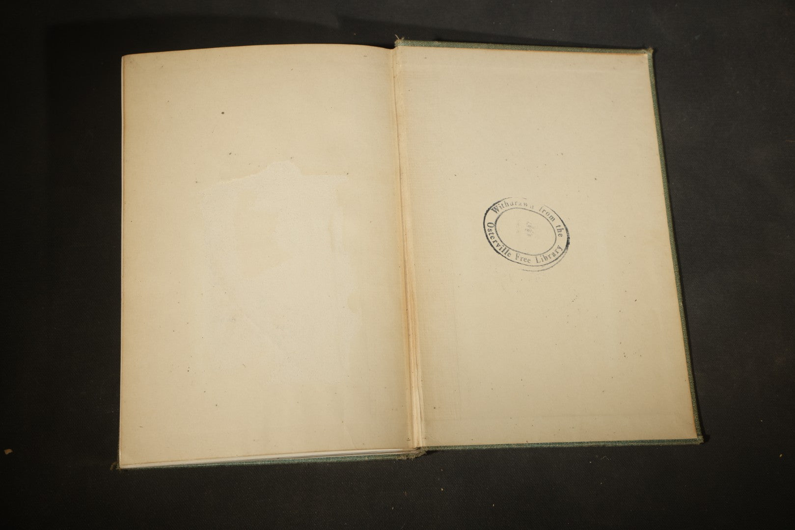 "North American Birds Eggs" Antique Ornithology Book by Chester A. Reed, Published by Doubleday, Page & Company, New York, 1904