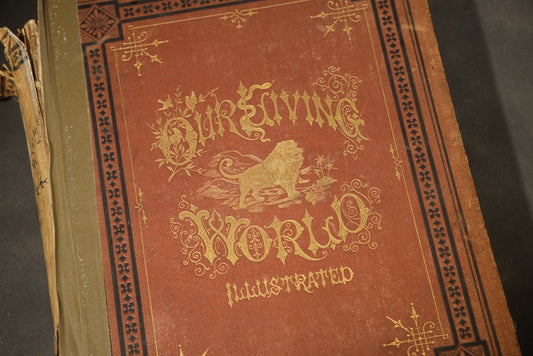"Our Living World; an Artistic Edition of the Rev. J.G. Wood's Natural History of Animate Creation" Antique Illustrated Natural History Book, Revised by Joseph B. Holder M.D., Published by Selmar Hess, New York, Note Poor Condition