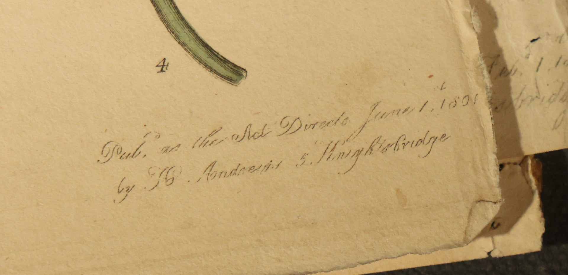 Grouping of Antique Hand-Colored Botanical Engraving Prints Published by H. Andrews, "The Botanist's Repository," Circa 1801