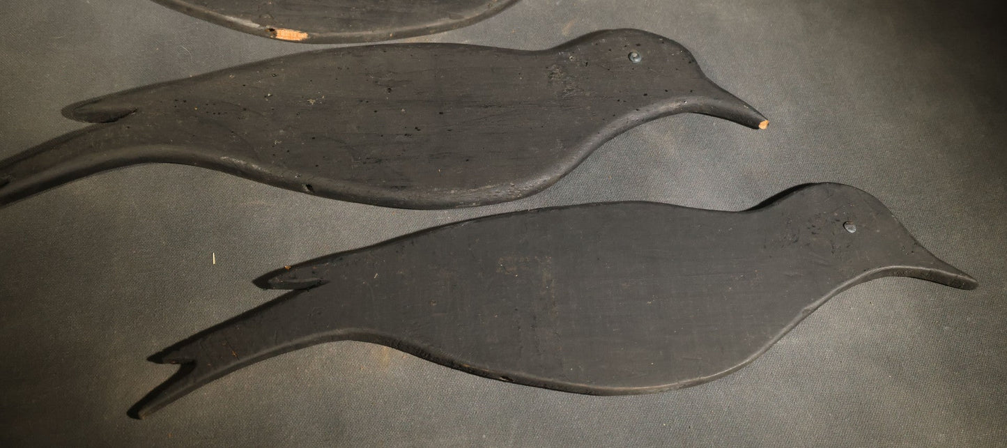 Grouping of Five Antique Black-Painted Flat Crow Silhouette Stick-Up Decoys with Support Poles in Wooden Storage Box