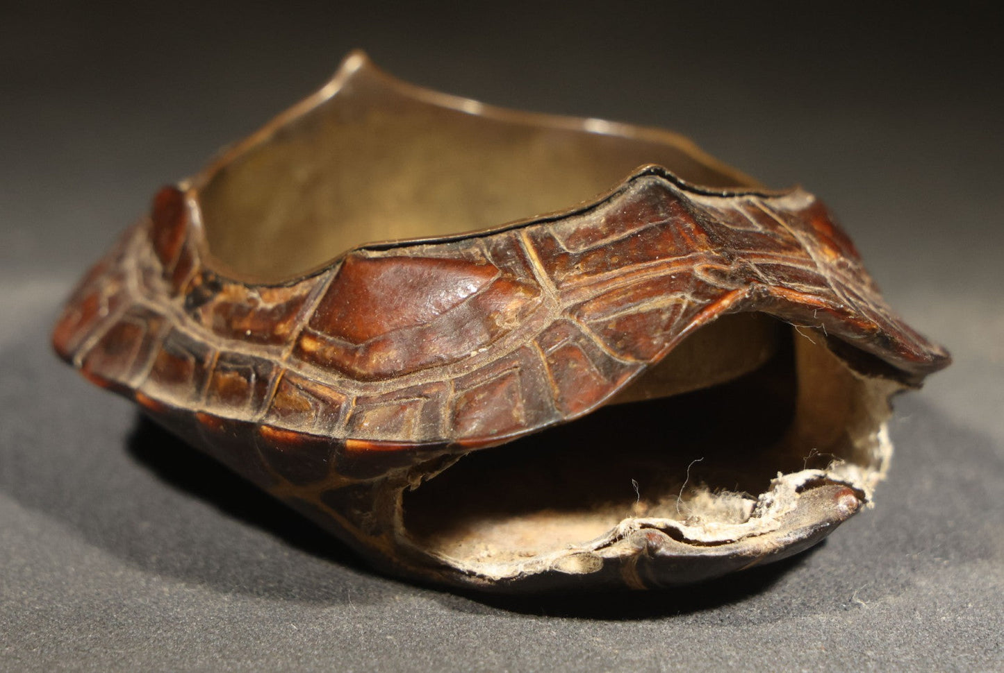 Antique Turtle Shell Ashtray with Metal Liner