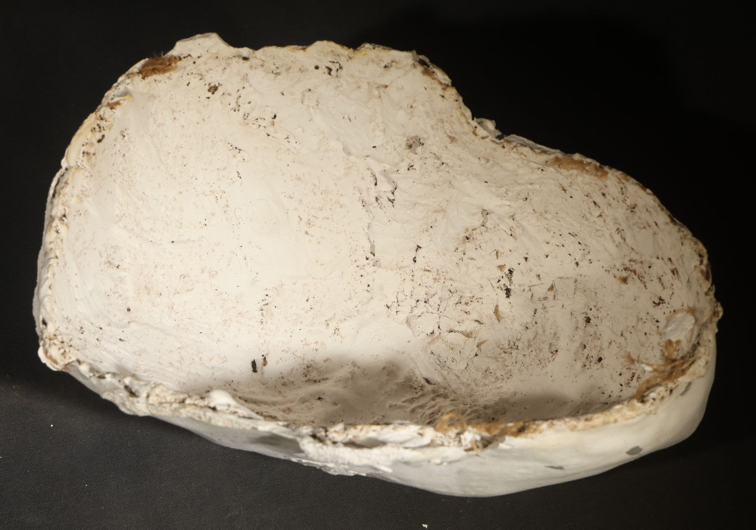 Vintage Plaster Life Mask of a Young Woman