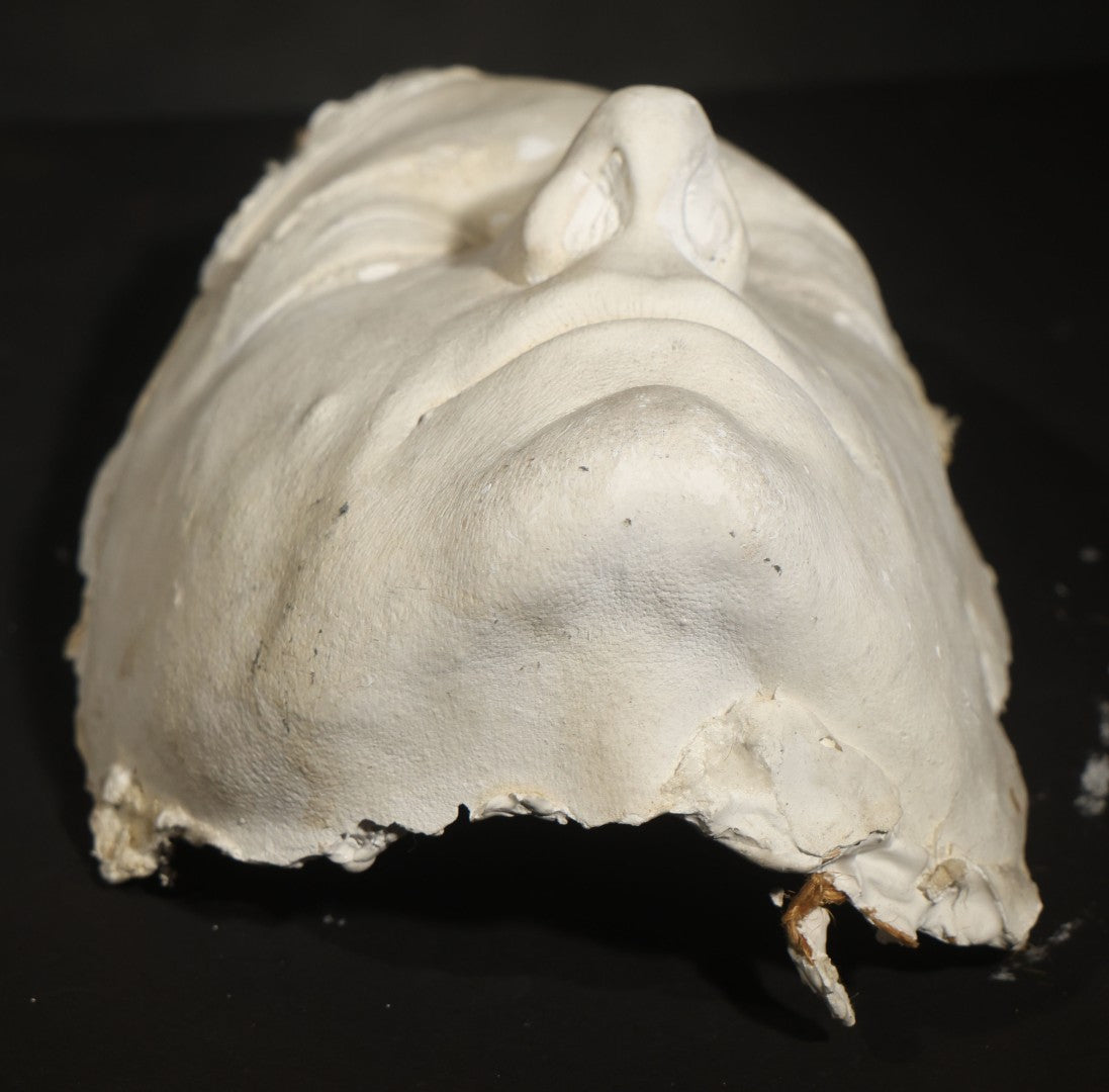 Vintage Plaster Life Mask of a Male Subject