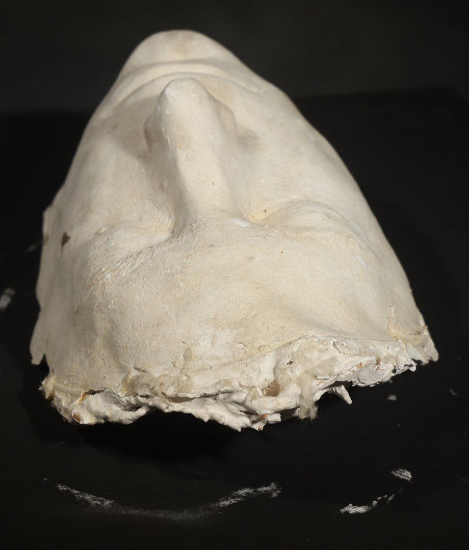 Vintage Plaster Life Mask of a Male Subject