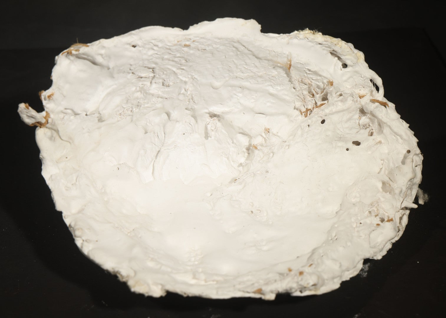Vintage Plaster Life Mask of a Male Subject