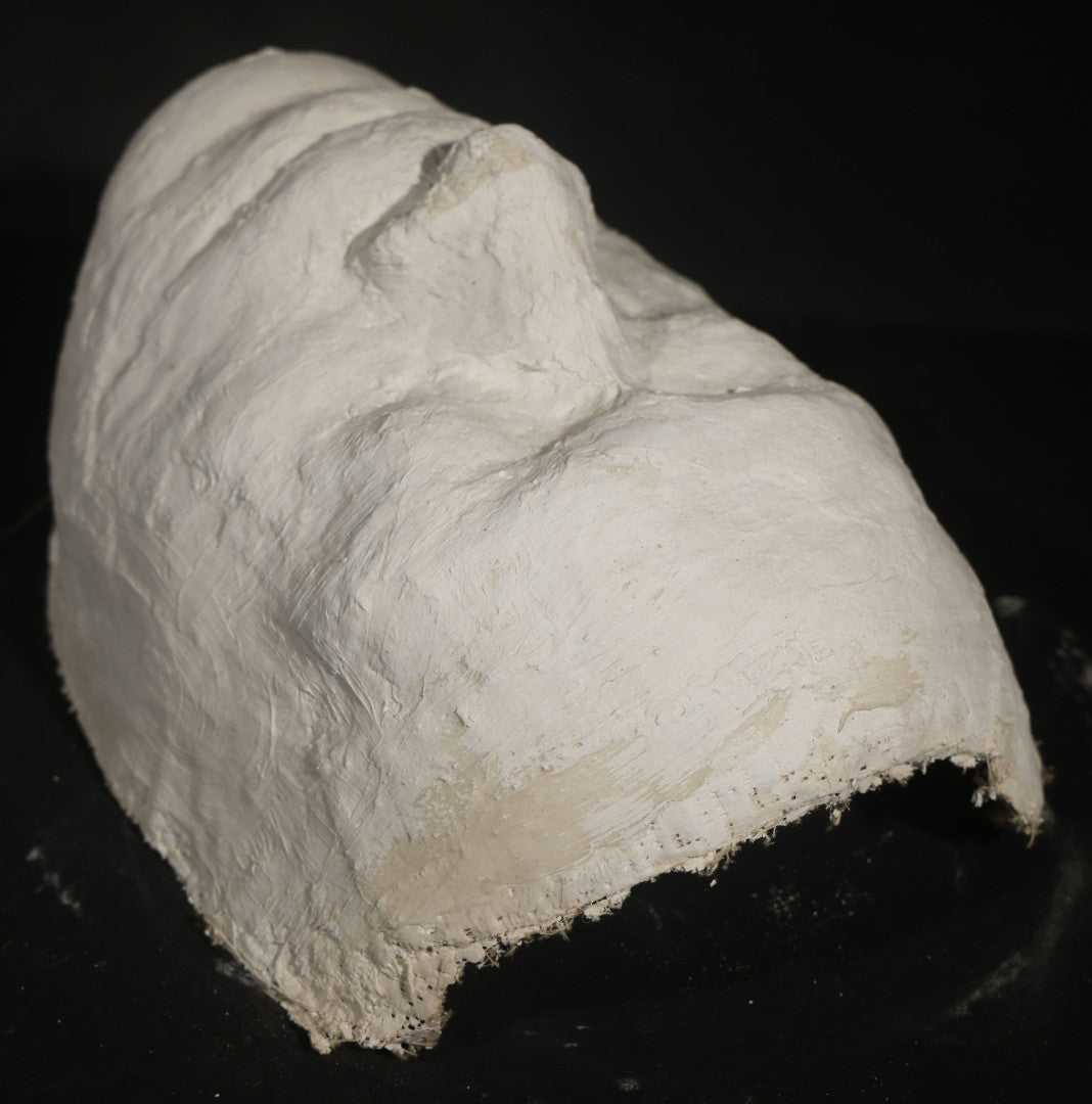 Pair of Vintage Plaster and Gauze Life Masks